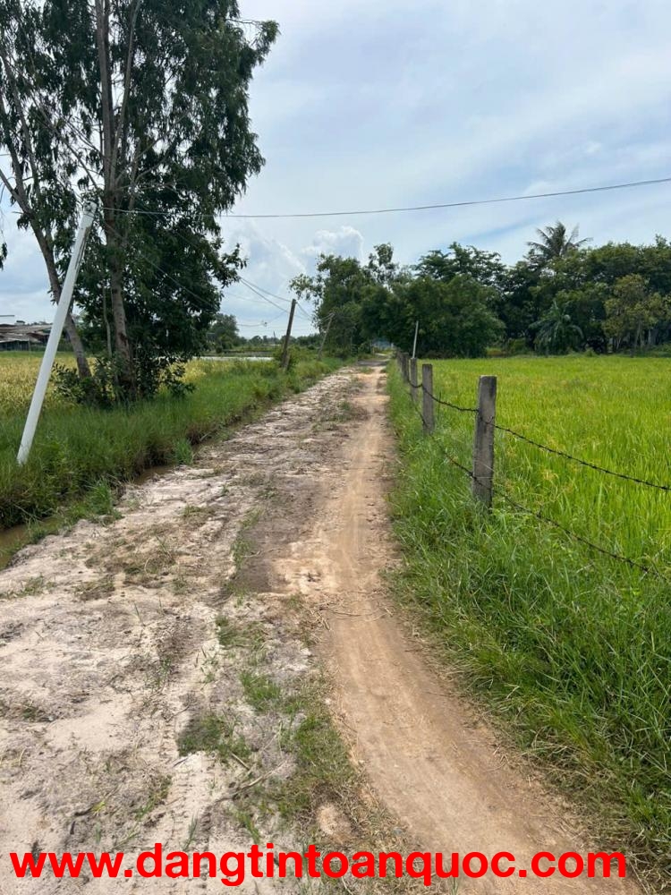 850 triệu lô đất 237m2 thổ cư Hẻm Lý Thái Tổ, Tân Hải, Lâm Đồng ( LaGi cũ )