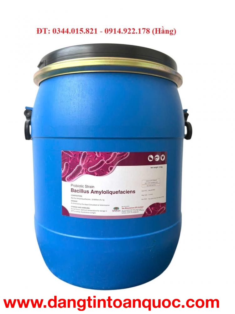 Bacillus Amyloliquefaciens, hỗ trợ đường ruột tôm cá, xử lý nước