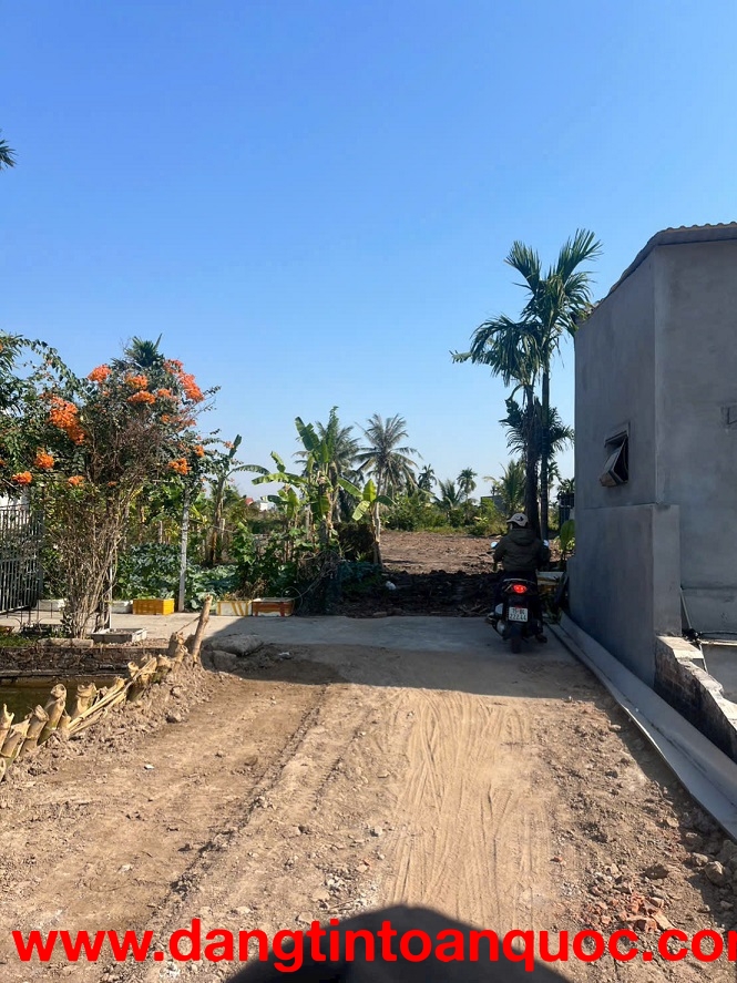 CƠ HỘI ĐẦU TƯ / LÀM NHÀ VƯỜN SIÊU ĐẸP – HỢP ĐỨC, NAM ĐỒ SƠN