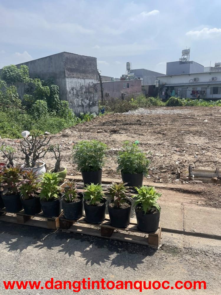 Bán đất mặt tiền đường nhựa 12m ngang 5x18m giá 5 tỷ Đường Đông Thạnh 7-3