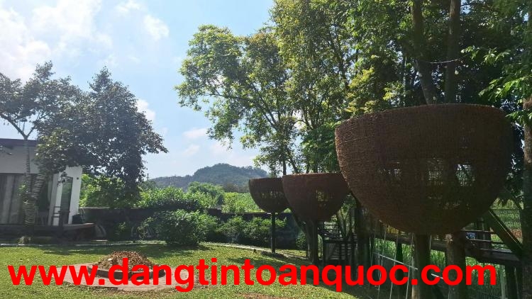 SỞ HỮU NGAY LÔ ĐẤT ĐẸP - GIÁ TỐT - Vị Trí Đắc Địa Tại Vân Hòa, Ba Vì, TPHN