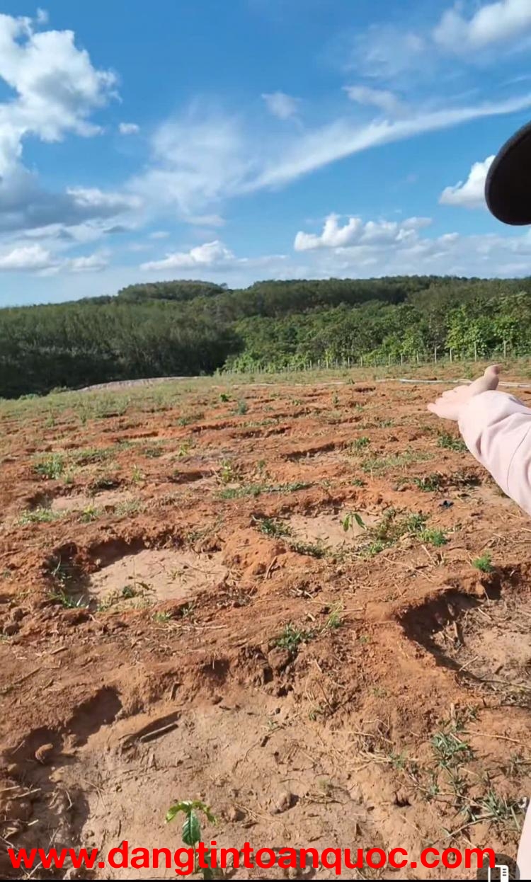 BÁN ĐẤT – BAO BÌA, GIÁ TỐT - XÃ IA DOM - TỈNH GIA LAI