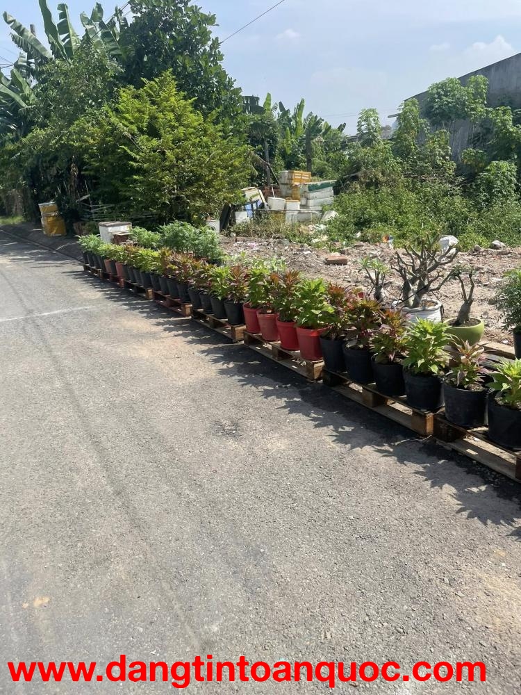 Bán đất mặt tiền đường nhựa 12m ngang 5x19m giá 5 tỷ Đường Đông Thanh 7-3