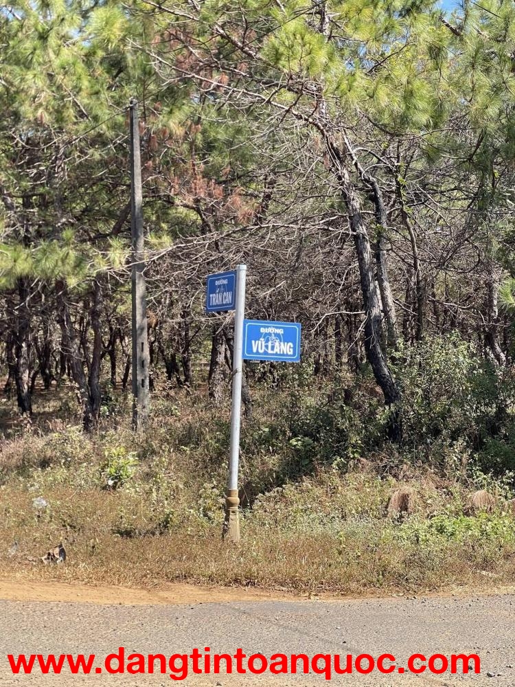 HÀNG HIẾM – BÁN QUỸ ĐẤT LỚN MẶT TIỀN ĐƯỜNG NHỰA TRẦN CAN, TP. PLEIKU, GIA LAI