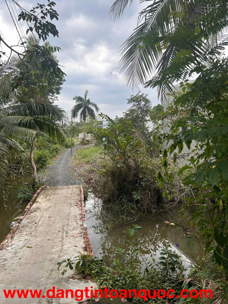 CHÍNH CHỦ BÁN ĐẤT NÔNG NGHIỆP QUY HOẠCH ĐẤT Ở – KHU DÂN CƯ HIỆN HỮU HƯNG LONG, BÌNH CHÁNH