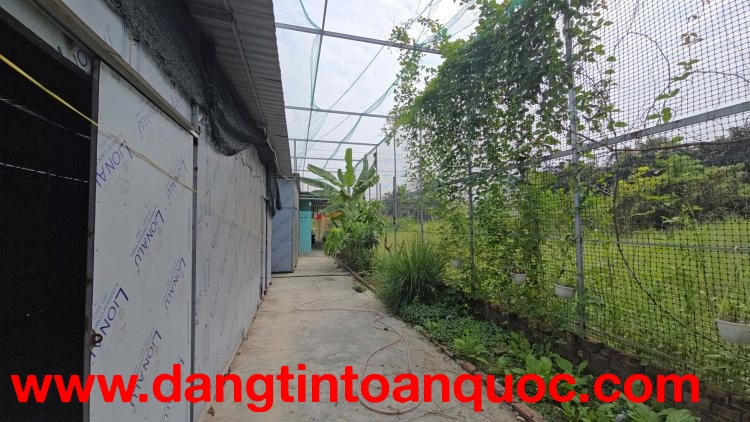 Chính chủ cho thuê mặt bằng đẹp  huyện Cần Giuộc, tỉnh Long An