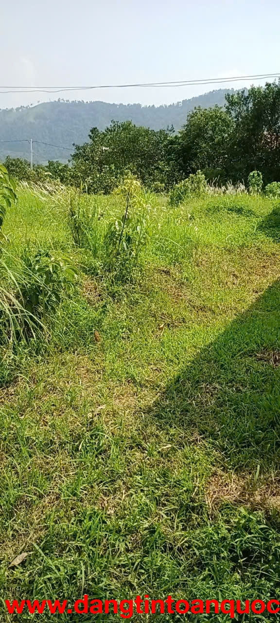 SỞ HỮU NGAY LÔ ĐẤT ĐẸP - GIÁ TỐT - Vị Trí Đắc Địa Tại Thôn Lâm Trường, Xã Minh Phú, Huyện Sóc Sơn Cũ