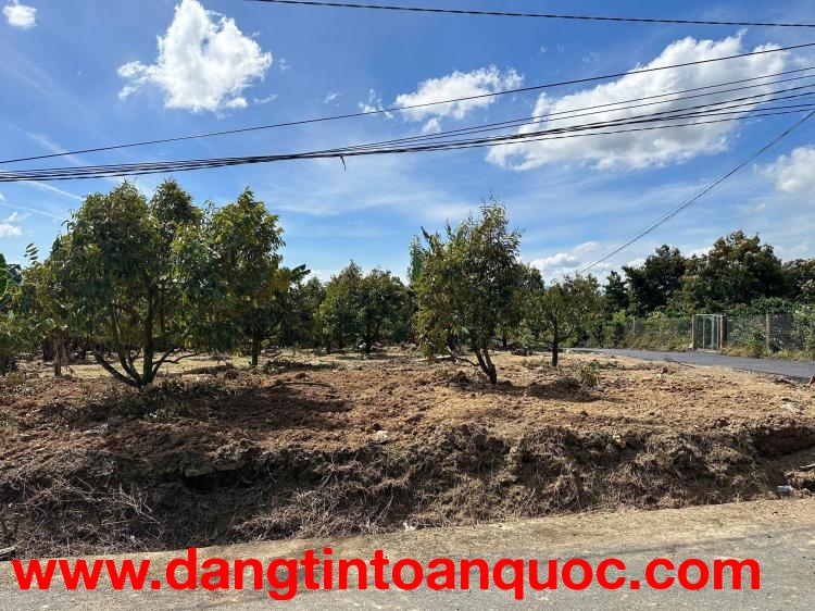 ĐẤT ĐẸP CẦN BÁN ĐẤT – DI LINH -  LÂM ĐỒNG