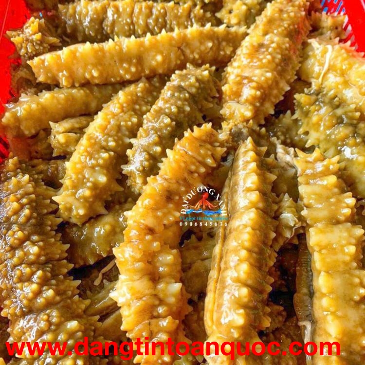 Hải Sâm Gai Vàng Là Gì? Giá Trị Dinh Dưỡng Và Cách Dùng Hiệu Quả