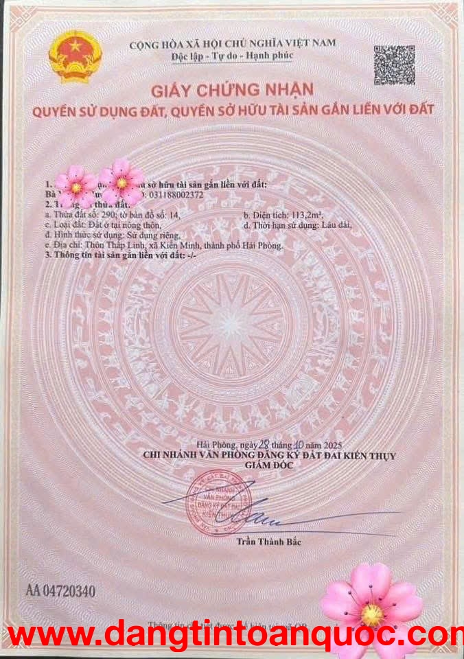 Mặt đường 362 Minh Tân  113,2m² trục lớn 30m – hàng hiếm kinh doanh  ZALO 0567 222 555