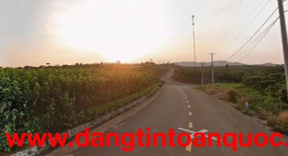 BÁN ĐẤT CHÍNH CHỦ – XÃ B’LA, HUYỆN BẢO LÂM, LÂM ĐỒNG