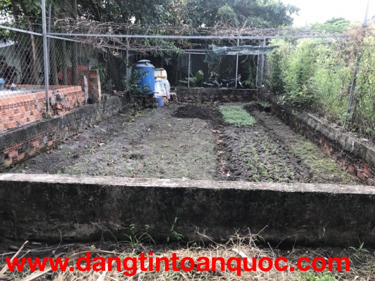 L2067 ⭐️ đất Thạnh Xuân 25 Q12, SHR, Vuông, 5x13.4m, 1.x tỷ