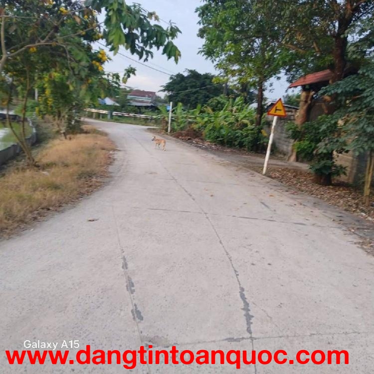 Bán Gấp  2ha Đất CLN, Tân Phú Trung . Củ Chi,Nguyễn Thị Lắng. Giá 48 tỷ.