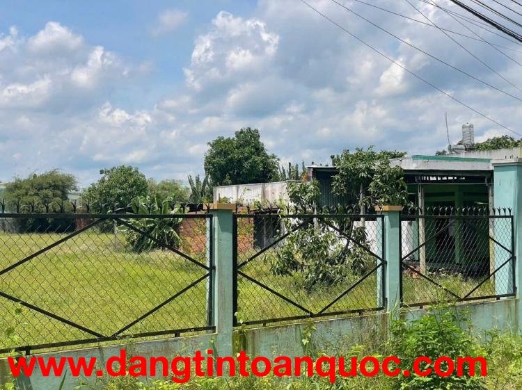 CHÍNH CHỦ CẦN BÁN ĐẤT MT, ĐƯỜNG NHỰA TẠI XÃ THÔNG HỘI, CỦ CHI