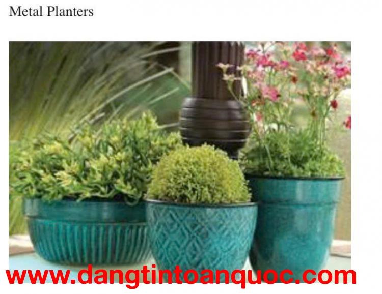 chậu cây cps sự lựa chọn tinh tế dành cho mọi gia đình