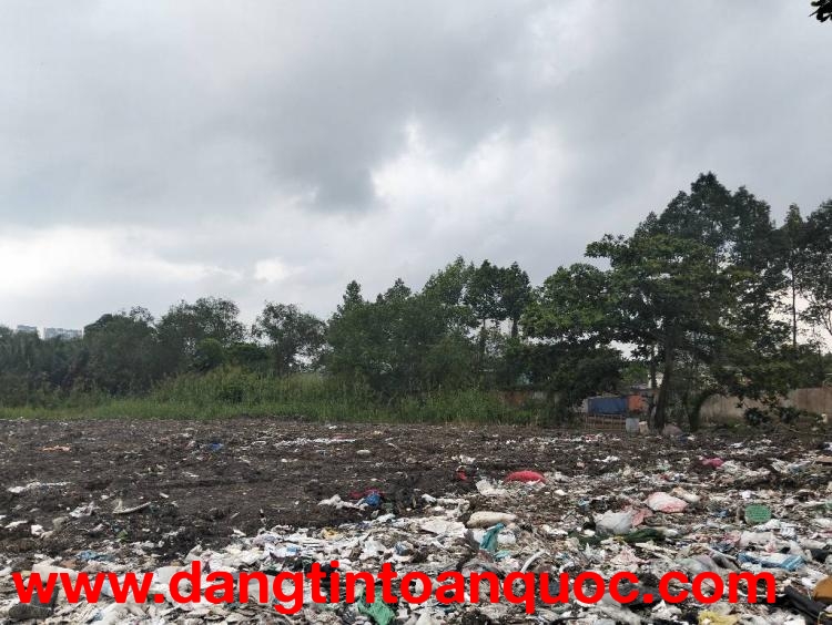 Cực hiếm! 6790m2 Đất No Đường  Đào Trí, Phú Thuận  Q7 HCM, Chỉ 160 Tỷ