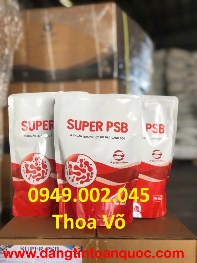 SUPER PSB – Vi Khuẩn Quang Hợp Rhodo Xử Lý Nước Ao Nuôi Tôm Cá