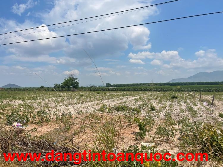 Bán 50m đất mặt tiền Mai Thúc Loan, Tân Hải, LaGi giá ngộp 160tr/m ngang