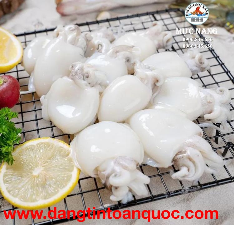 Mực nang tươi làm sạch giá tốt không ai bằng