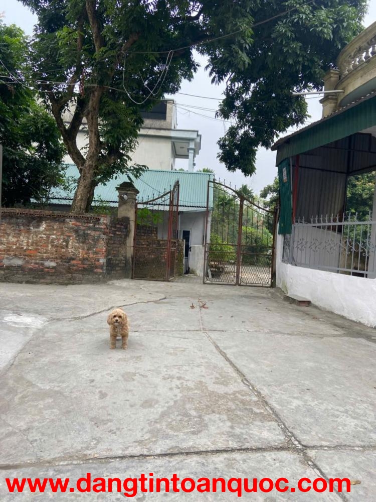 BÁN LÔ ĐẤT F0 VỊ TRÍ ĐẸP – KHU 2, PHƯỜNG VÂN CƠ, TP VIỆT TRÌ