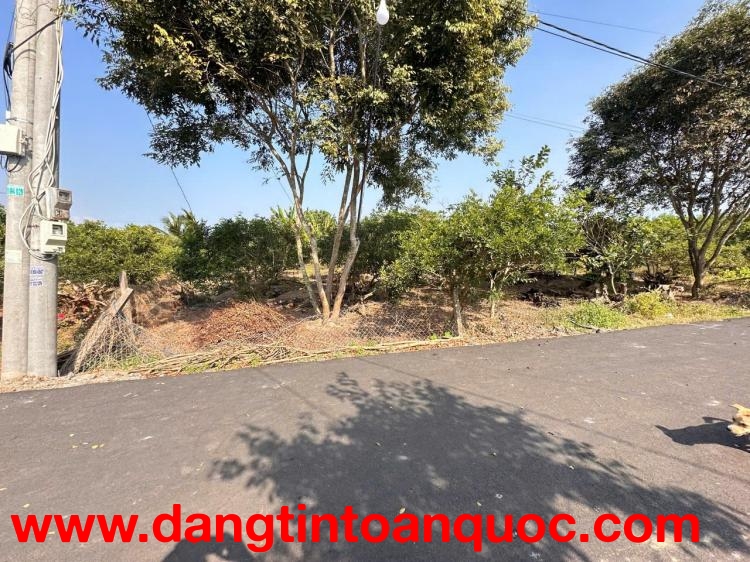 Chính chủ cần tiền gấp bán trước Tết 3.328m2 đất xã Hoà Hội: