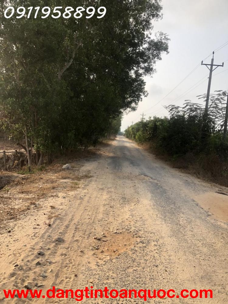 Bán 19m x 41m đất mặt tiền Lý Nam Đế - Tân Phước - LaGi giảm 50% còn 1.3 tỷ