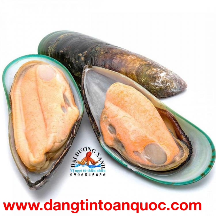 Giá Trị Dinh Dưỡng Trong Các Món Ngon Từ Vẹm Xanh