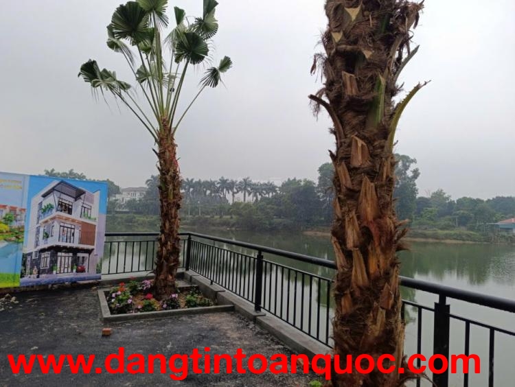 Bán 100m2 đất nền Trại Hồ giá 3, x tỷ