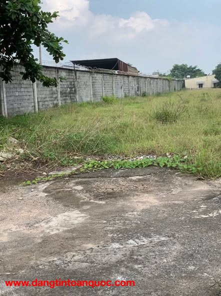 Bán đất mặt tiền 10.138m ngang 39m giá 199 tỷ Đường Tô Ký 12