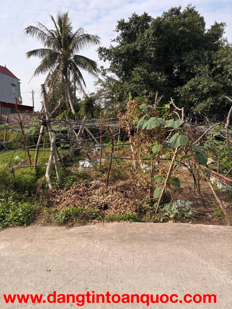 BÁN ĐẤT TÂN THÀNH DƯƠNG KINH 98M2 – NGÕ BÊ TÔNG RỘNG – GIÁ ĐẦU TƯ HIẾM  ZALO 0567 222 555