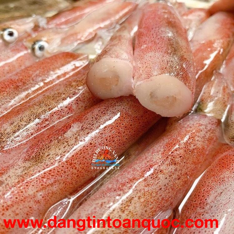 Cung Cấp Mực Trứng Tươi Và Đông Lạnh – Nên Chọn Loại Nào?