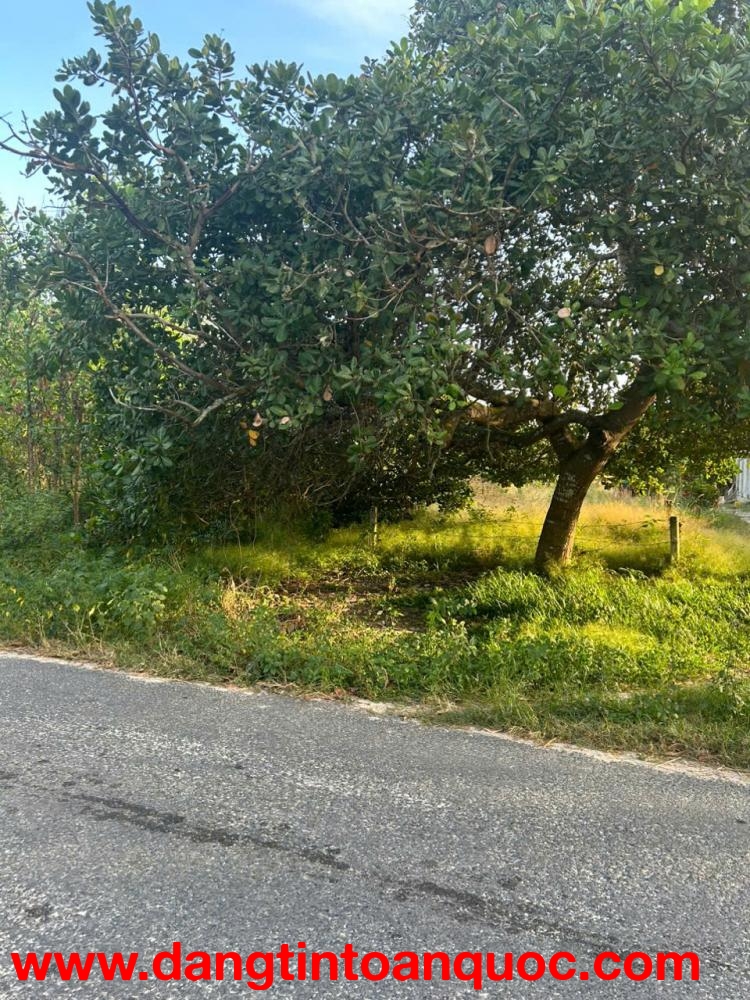 Bán 10m x 70m đất thổ cư Đường Cù Chính Lan, LaGi giá ngộp 160tr/m ngang