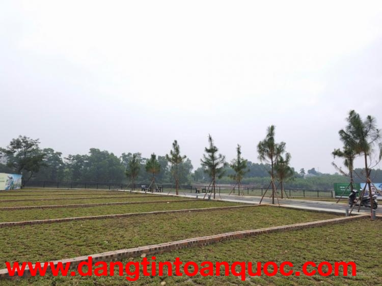 Đất Trại Hồ Cổ Đông giá nhỉnh 2 tỷ, sát CNC Hòa Lạc Hàng hiếm