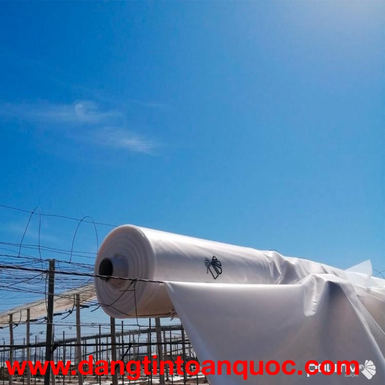  Giải pháp chuẩn cho nhà màng thường xuyên xông lưu huỳnh