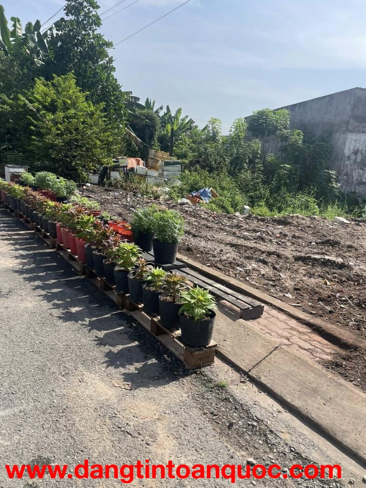 Bán đất mặt tiền 5x20m giá 4,5 tỷ Đường Đông Thạnh 7-1