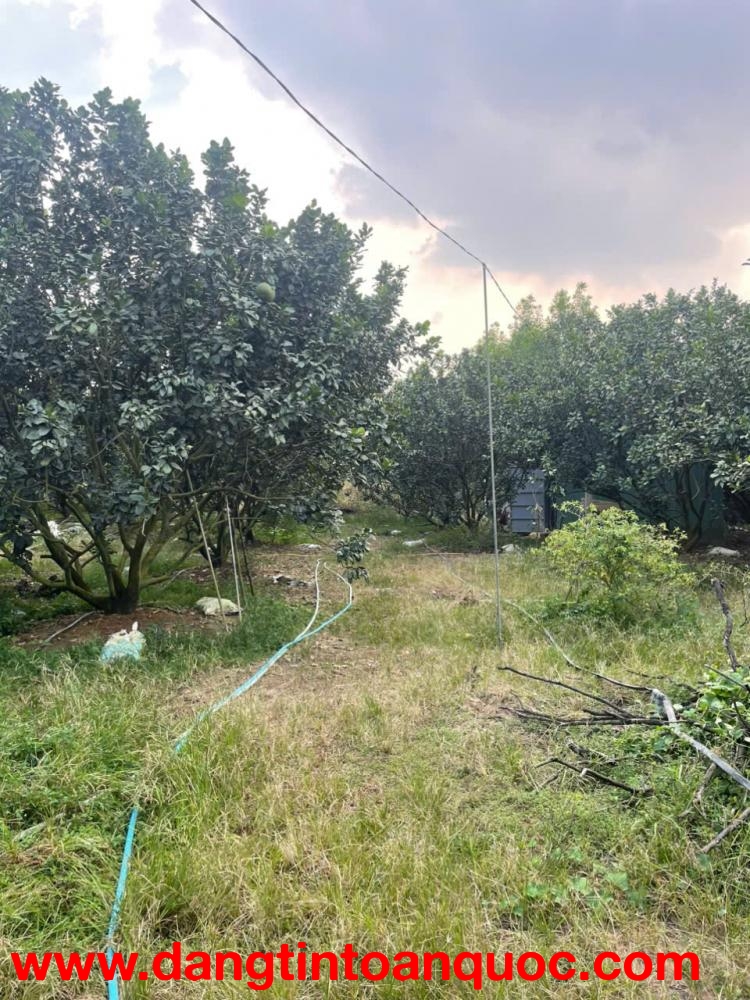 CHÍNH CHỦ BÁN SIÊU PHẨM ĐẤT ĐẸP ***Phù Hợp Cho Mọi Gia Đình