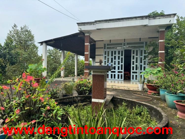 Trảng Bàng-Tây Ninh ngộp giảm 2 tỷ còn 2 tỷ 990tr dt 3555m2 sẵn nhà cấp 4 và vườn traí cây bám đường