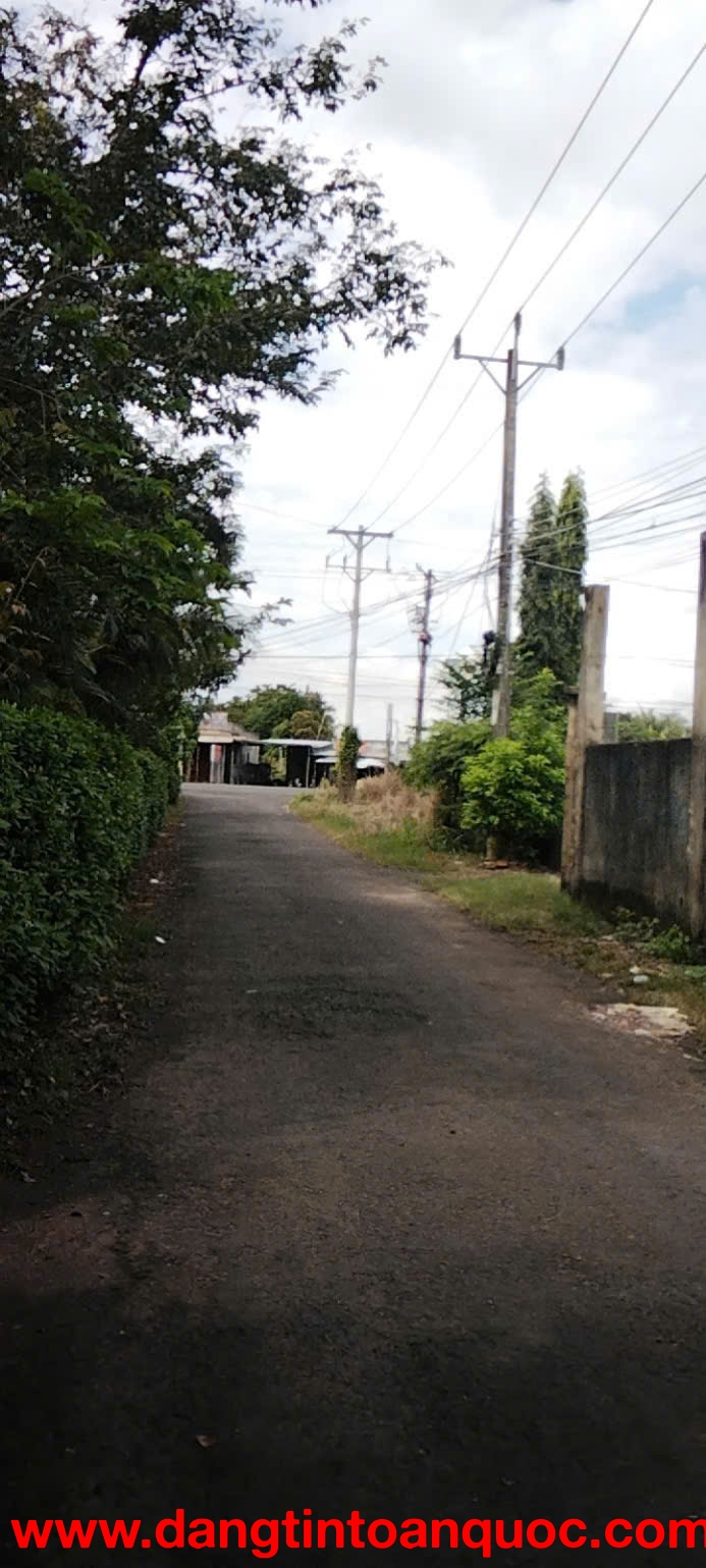 BÁN ĐẤT DIỆN TÍCH LỚN – GIÁ TỐT – BÙ ĐỐP, BÌNH PHƯỚC