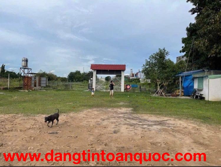 CẦN BÁN ĐẤT 2.000m² – CHÍNH CHỦ - VĨNH LỘC, HỒ CHÍ MINH