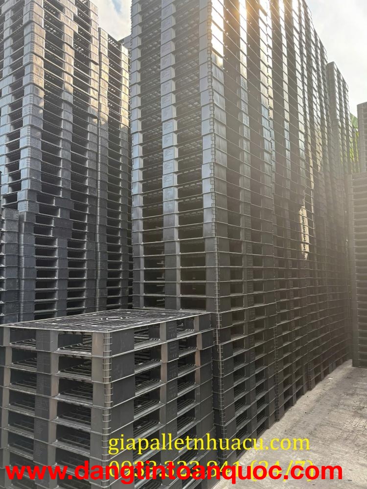 ☕ Pallet Nhựa Cao Cấp- Giải Pháp Chống Ẩm Cho Cà Phê, Chè Tại Bảo Lộc ☕