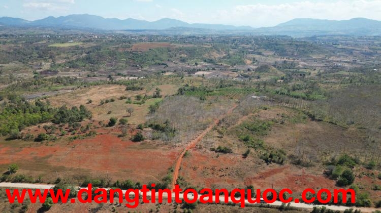 CHÍNH CHỦ CẦN BÁN 25HA ĐẤT ĐỎ BAZAN – XÃ KON CHIÊNG - TỈNH GIA LAI