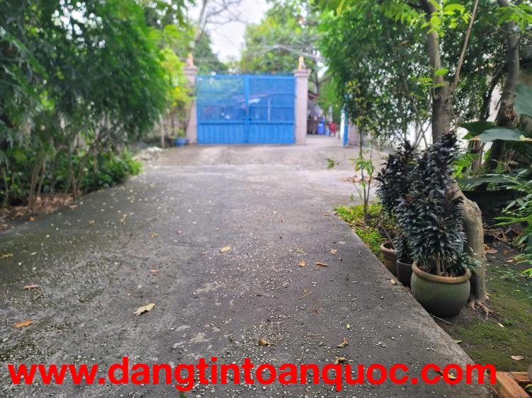 HÀNG THƠM HIẾM – BIỆT THỰ 800M² TRẦN VĂN MƯỜI – CHO VAY NHẬN NỢ