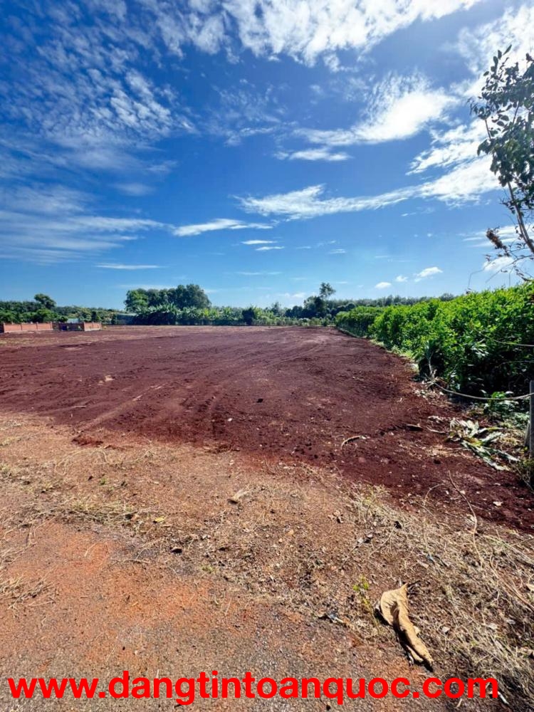 cần bán gấp gần 1 xào đất Long Phước, TP Bà Rịa nay phường Tam Long