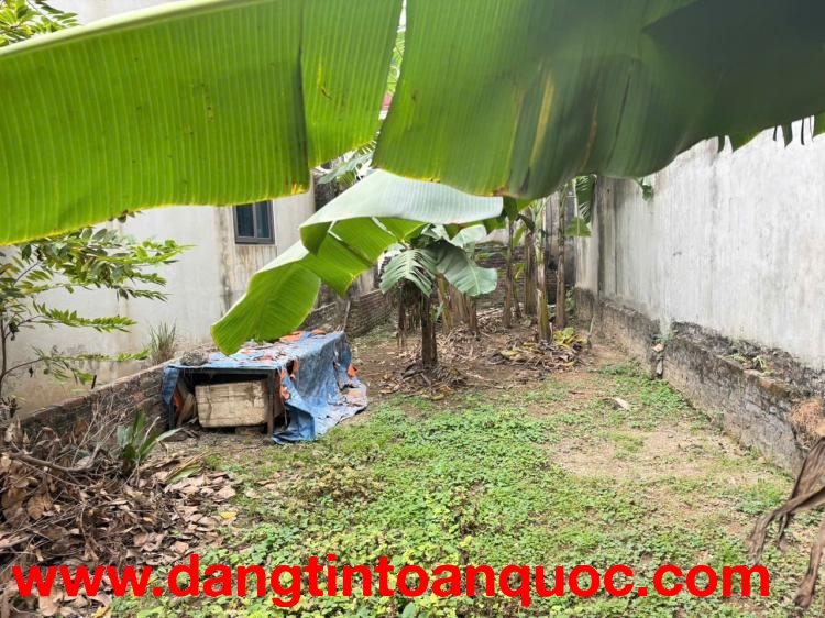 Bán gấp 74m đất thôn Chi Đông 2, xã Quang Minh, TP HN. Cách 500m tiện ích bạt ngàn