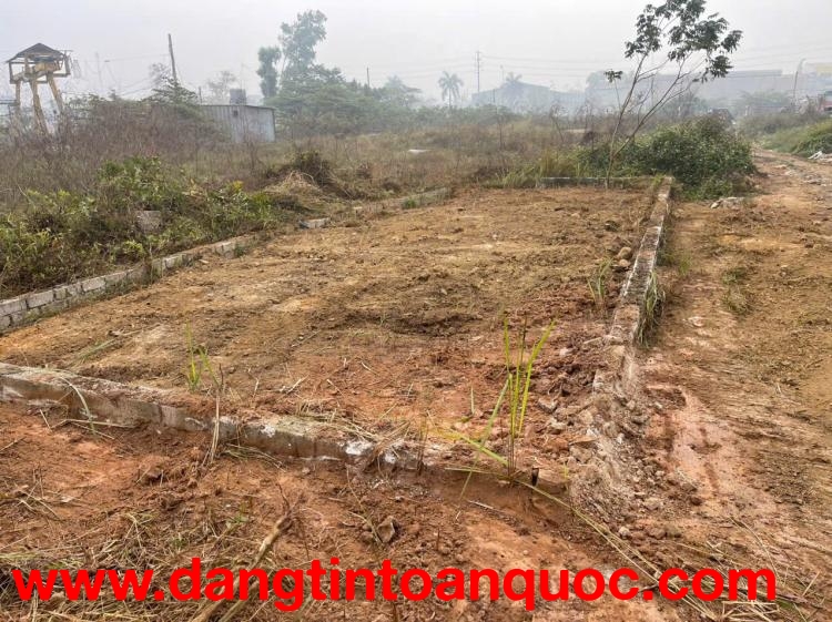 CẦN TIỀN, GIÁ NÀO CŨNG BÁN - Bán 70,9m đất dịch vụ Tiên Phương - Quy hoặch ra mặt đường 6