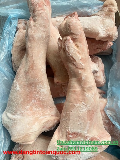 Chân giò heo nguyên chiếc đông lạnh – Hàng sẵn kho, giá ổn định
