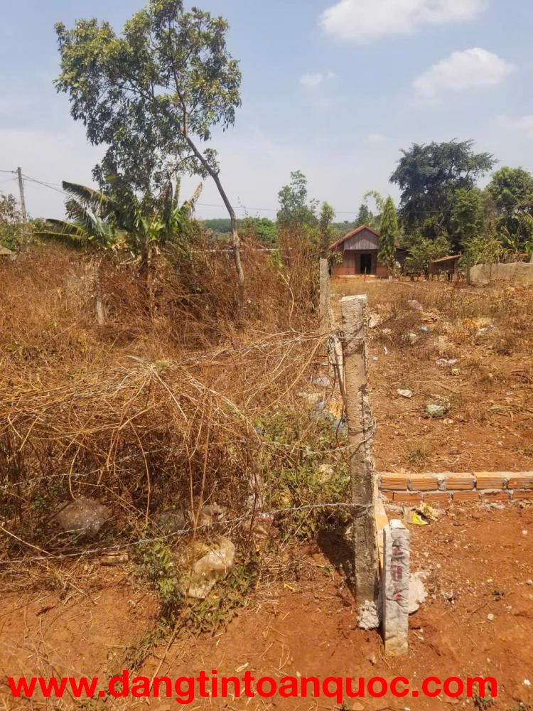 BÁN NỀN ĐẤT Ở + TRỒNG CÂY LÂU NĂM ĐÃ SỔ ĐỎ RIÊNG TẠI XÃ EA KUEH, HUYỆN CƯ M'GAR, TỈNH DAKLAK