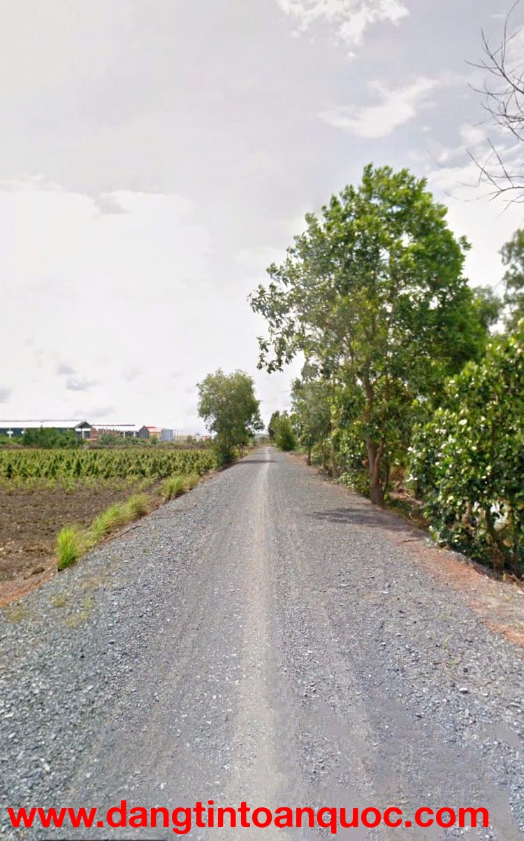 CẦN BÁN 10.000M2 ĐẤT VƯỜN MT ĐƯỜNG KÊNH XE HƠI