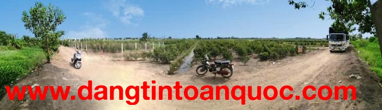 CẦN BÁN 20178M2 ĐẤT VƯỜN MT ĐƯỜNG KÊNH SỐ 4