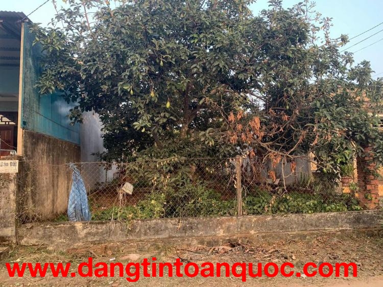 BÁN ĐẤT 100% THỔ CƯ – XUÂN THIỆN, THỐNG NHẤT